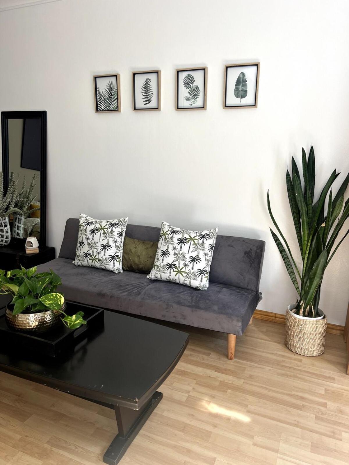 Cosy Welgemoed Flatlet With Own Entrance Apartment Cape Town